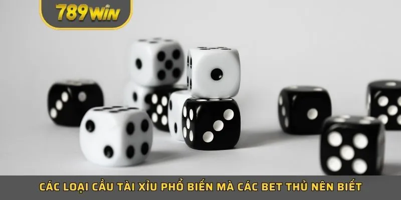 Các loại cầu tài xỉu phổ biến mà các bet thủ nên biết