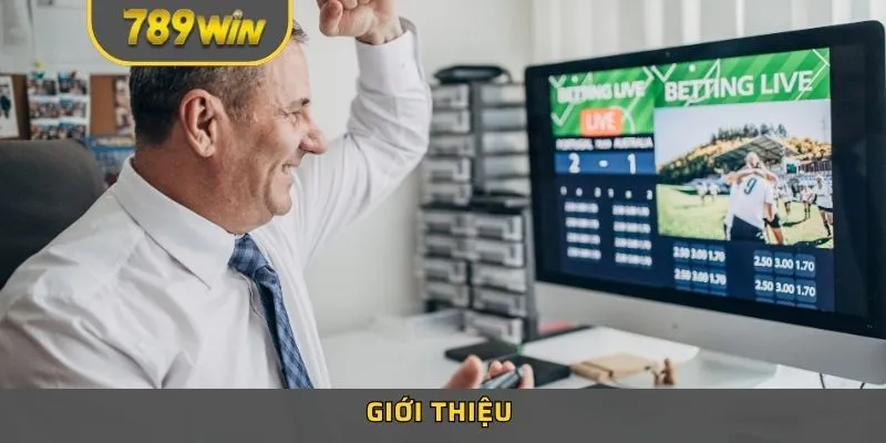 Giới thiệu sơ lược về 789WIN