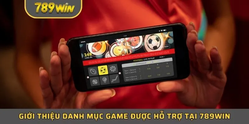 Giới thiệu danh mục game được hỗ trợ tại 789WIN