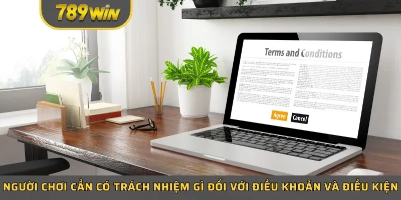 Người chơi cần có trách nhiệm gì đối với điều khoản và điều kiện?