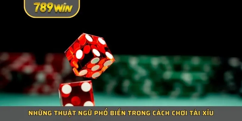 Những thuật ngữ phổ biến trong cách chơi tài xỉu