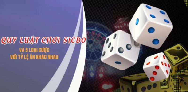 Cổng trò chơi trực tuyến 789win - Trải nghiệm giải trí đỉnh cao